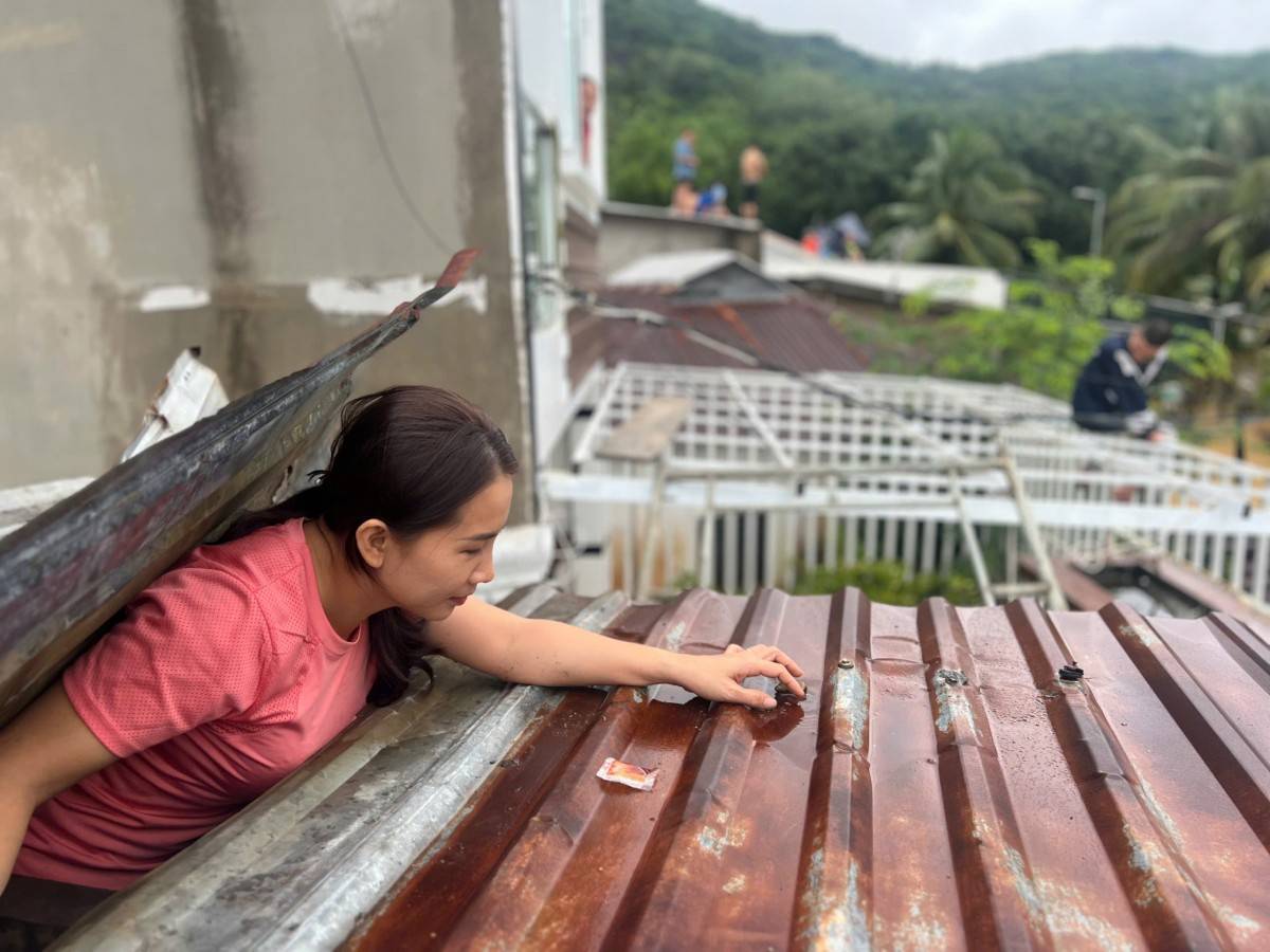 Khánh Hòa: Những đóa hướng dương nở trên tình đất, tình người hồn hậu