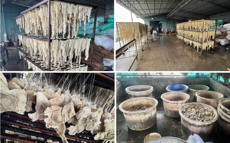 Xử phạt Công ty TNHH Sản xuất - Thương mại dịch vụ Trường Huy 226,5 triệu đồng