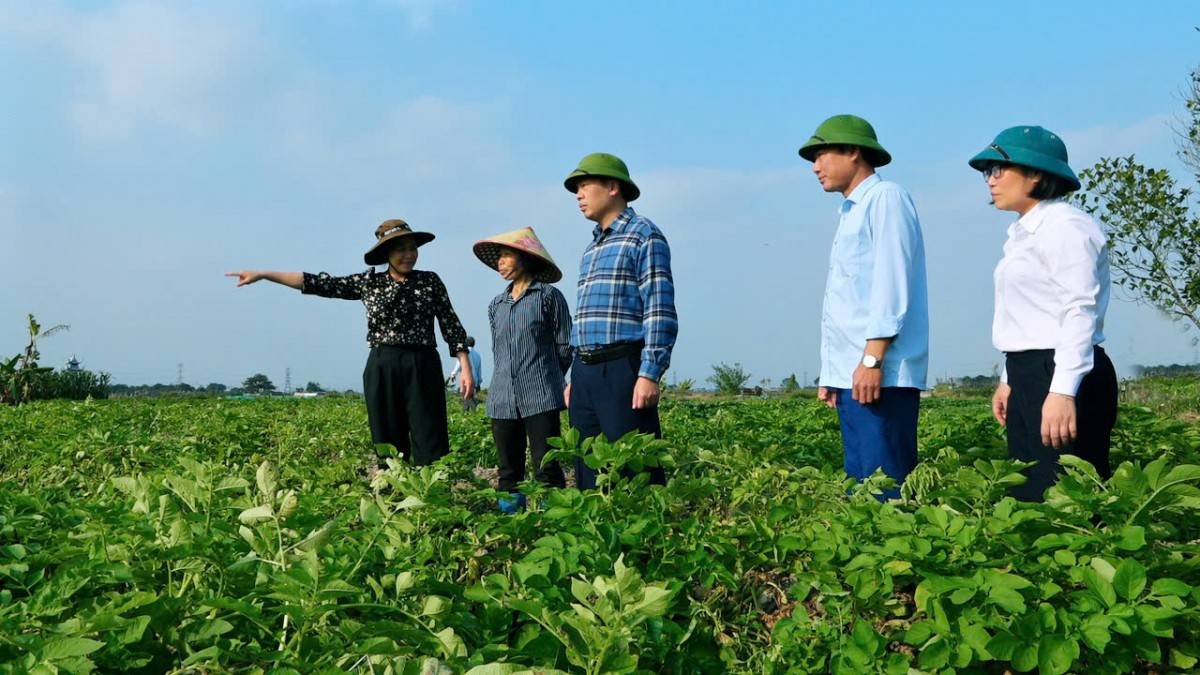 Từ ruộng vườn lên “sàn số”: Câu chuyện Bí thư xã livestream bán nông sản cùng nông dân