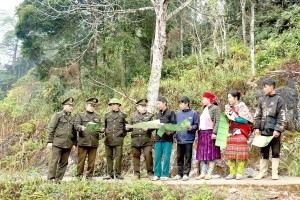 Tuyên Quang: Chi trả dịch vụ môi trường rừng minh bạch, thúc đẩy lâm nghiệp số bền vững