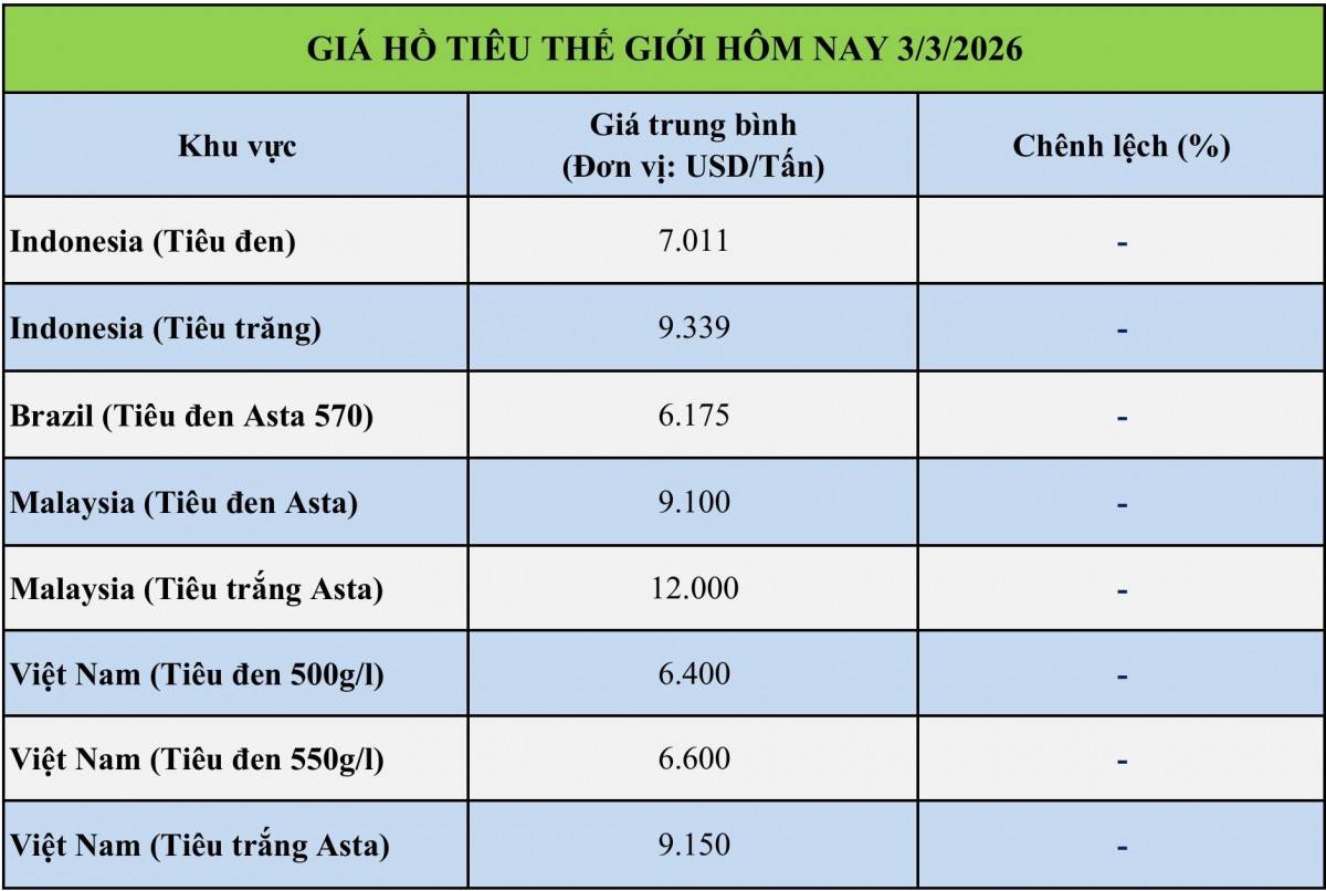 Giá tiêu hôm nay 3/3/2026: Giá tiêu trong nước ổn định, xuất khẩu tăng trưởng