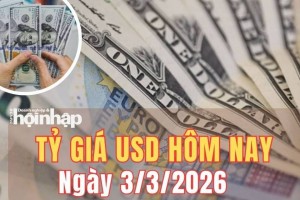 Tỷ giá USD hôm nay 3/3/2026: Đồng USD thế giới tăng vọt khi căng thẳng Trung Đông leo thang