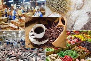 Xuất khẩu vượt 70 tỷ USD: Nông nghiệp Việt tăng tốc nhờ chiến lược thương hiệu và công nghệ