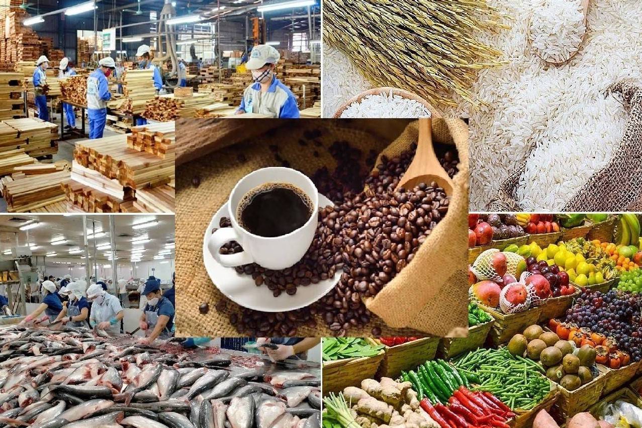 Xuất khẩu vượt 70 tỷ USD: Nông nghiệp Việt tăng tốc nhờ chiến lược thương hiệu và công nghệ