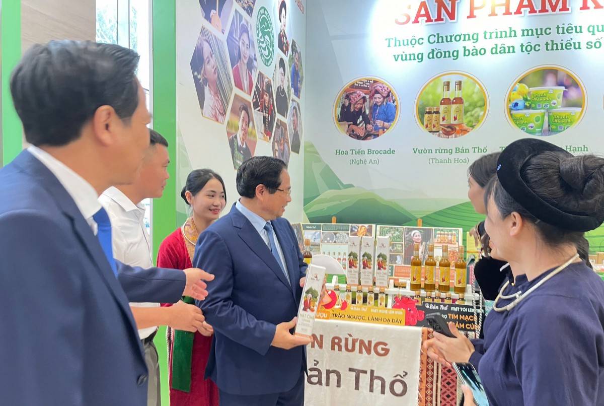 Nữ doanh nhân Thanh Hóa ứng cử đại biểu Quốc hội vì rừng và đồng bào dân tộc