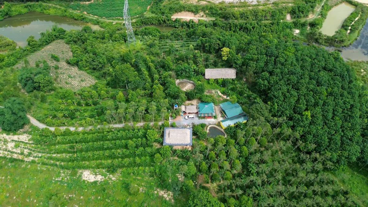 Nữ doanh nhân Thanh Hóa ứng cử đại biểu Quốc hội vì rừng và đồng bào dân tộc