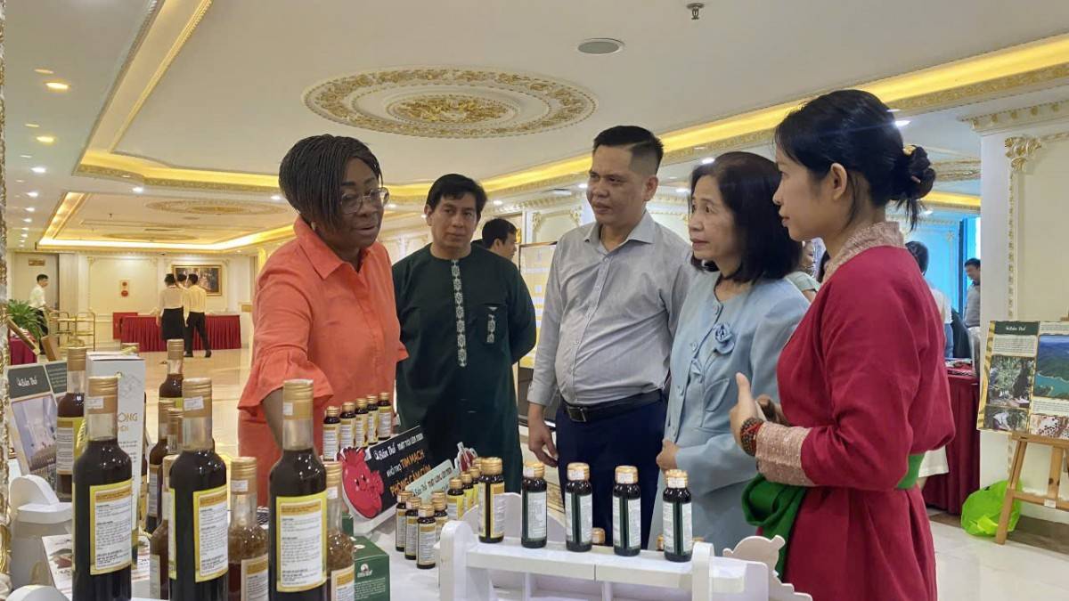 Nữ doanh nhân Thanh Hóa ứng cử đại biểu Quốc hội vì rừng và đồng bào dân tộc