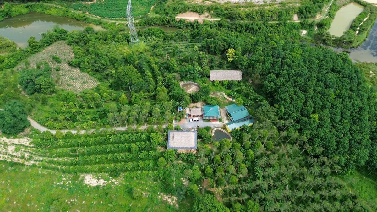 Nữ doanh nhân Thanh Hóa ứng cử đại biểu Quốc hội vì rừng và đồng bào dân tộc