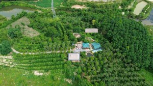 Nữ doanh nhân Thanh Hóa ứng cử đại biểu Quốc hội vì rừng và đồng bào dân tộc