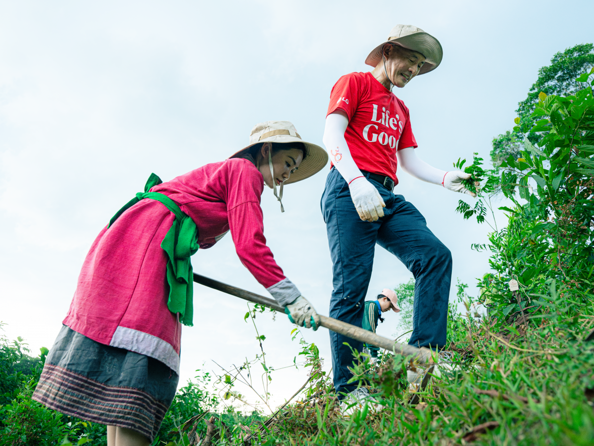 Nữ doanh nhân Thanh Hóa ứng cử đại biểu Quốc hội vì rừng và đồng bào dân tộc