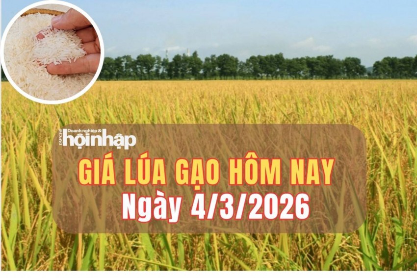 giá lúa gạo