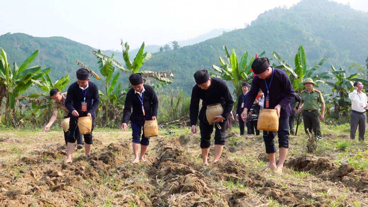 Yên Bái: Rạng rỡ sắc xuân Lễ hội Lồng Tồng Phong Dụ Thượng 2026