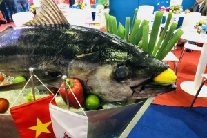 Xuất khẩu cá ngừ tăng 13% trong tháng đầu năm, thị trường Mỹ chững lại do rào cản thuế và kỹ thuật