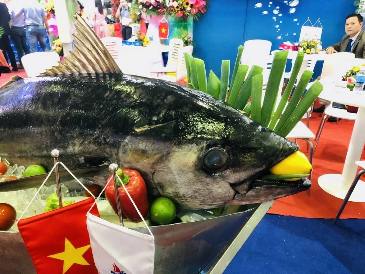 Xuất khẩu cá ngừ tăng 13% trong tháng đầu năm, thị trường Mỹ chững lại do rào cản thuế và kỹ thuật