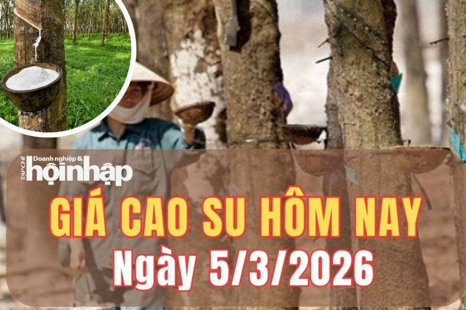 Giá cao su hôm nay 5/3/2026: Giá cao su thế giới tăng giảm đan xen tại các kỳ hạn