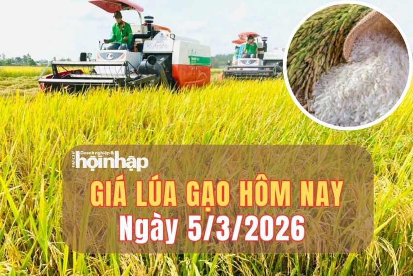 giá lúa gạo