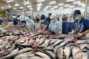 Xuất khẩu thủy sản đầu năm 2026 tăng trưởng tích cực, cá tra giữ vai trò đầu tàu