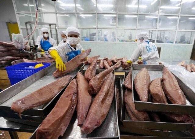 Xuất khẩu thủy sản khởi sắc đầu năm 2026, cá tra dẫn dắt tăng trưởng