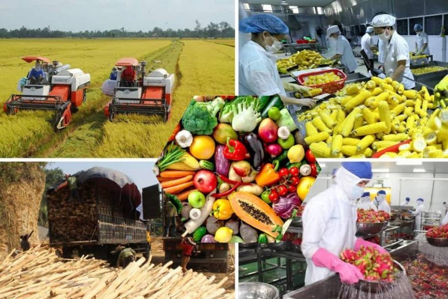 Xuất khẩu nông, lâm, thủy sản khởi sắc đầu năm, kim ngạch đạt 11,3 tỷ USD