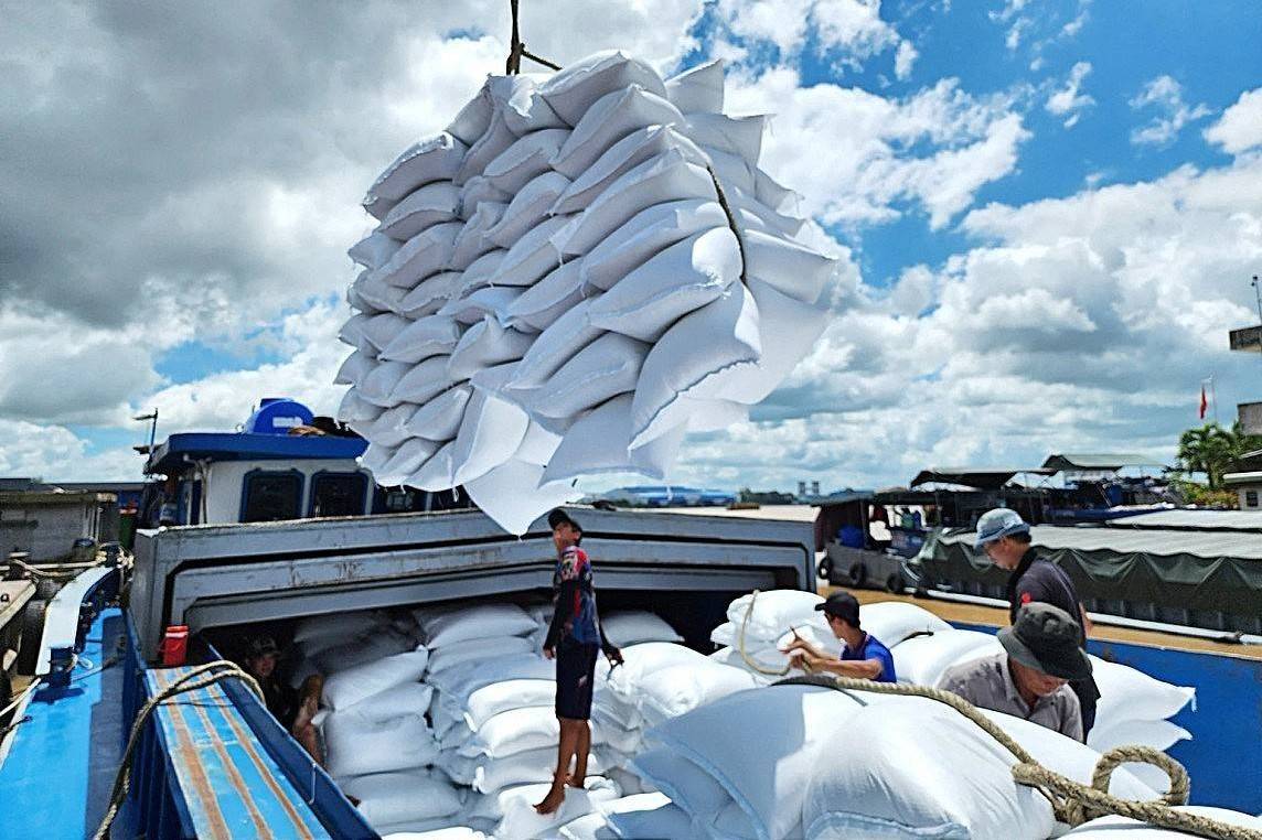 Chuyển hướng thị trường trước biến động, nâng giá trị gạo Việt Nam