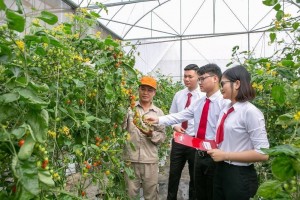 Agribank – dòng vốn chủ lực thúc đẩy phát triển nông nghiệp Việt Nam