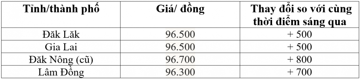 Bảng giá cà phê trong nước hôm nay 8/3/2026
