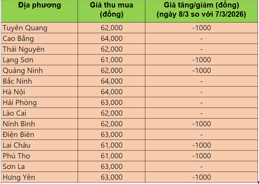 Bảng giá heo hơi tại miền Bắc hôm nay 8/3/2026