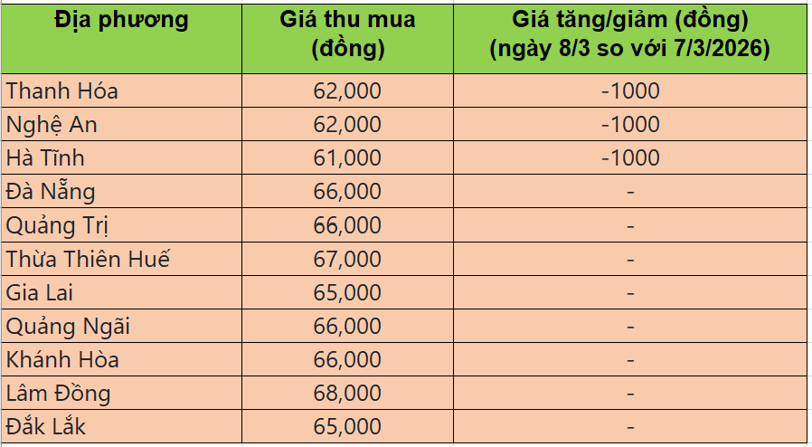 Bảng giá heo hơi tại miền Trung - Tây Nguyên hôm nay 8/3/2026