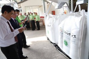 Mô hình lúa chất lượng cao ở ĐBSCL vượt 197% kế hoạch, thu nhập nông dân tăng ít nhất 20%