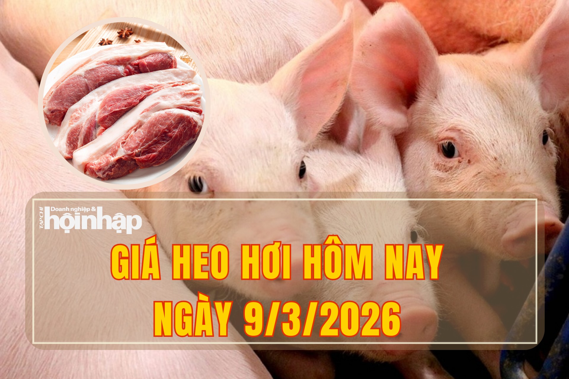 Giá heo hơi hôm nay 9/3/2026: Đồng loạt đi xuống trên cả nước