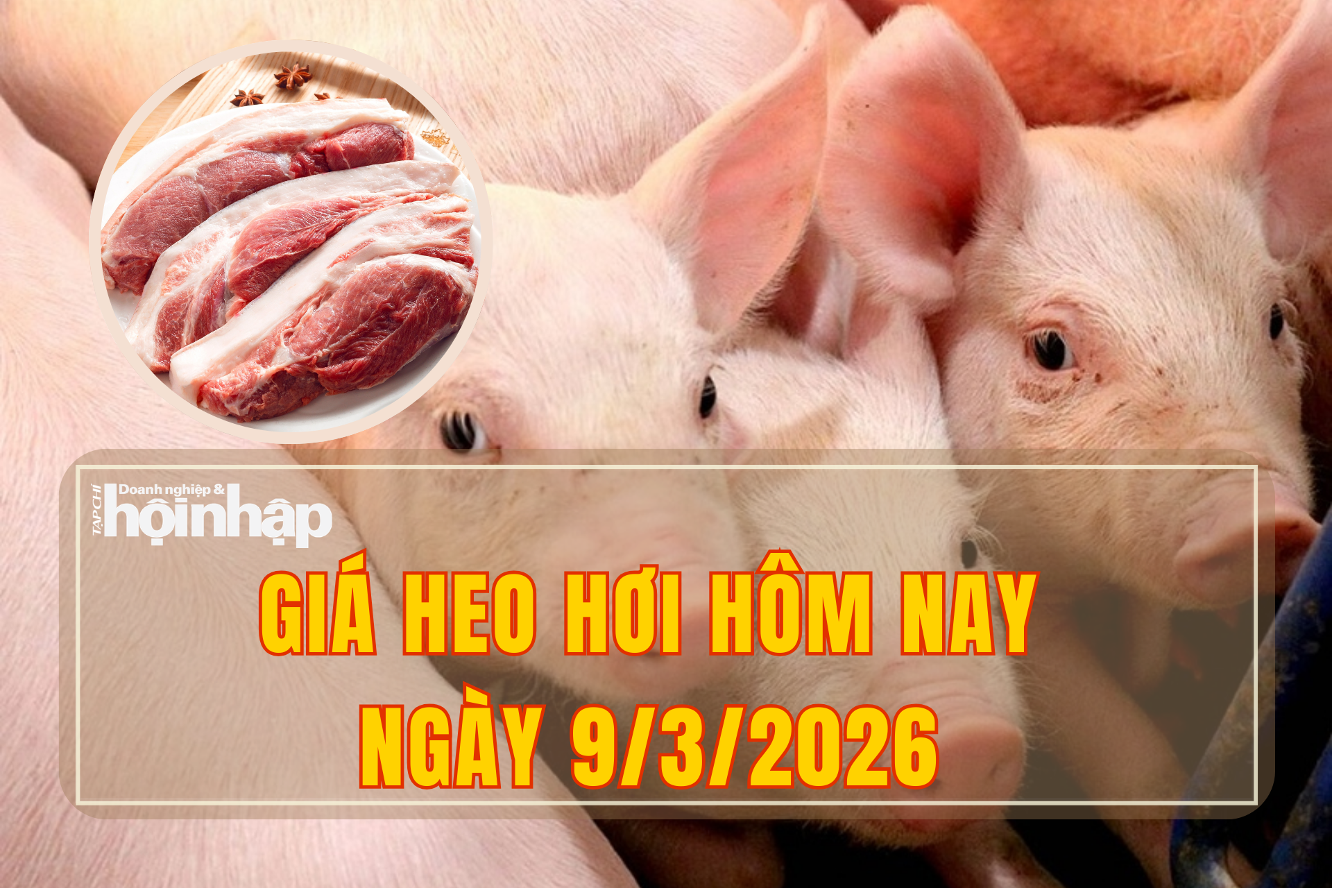 Giá heo hơi hôm nay 9/3/2026: Đồng loạt đi xuống trên cả nước