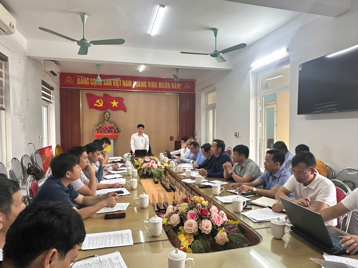 Thanh Hóa: Chấp thuận nhà đầu tư hạ tầng Khu công nghiệp dược phẩm Việt Nam - Ấn Độ