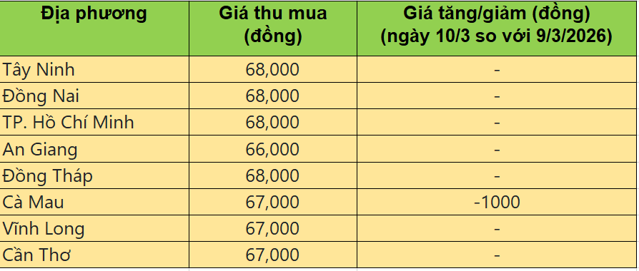Bảng giá heo hơi tại miền Nam hôm nay 10/3/2026