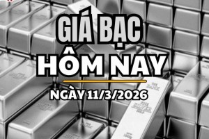 Giá bạc hôm nay 11/3/2026: Giá bạc trong nước và thế giới tiếp tục tăng