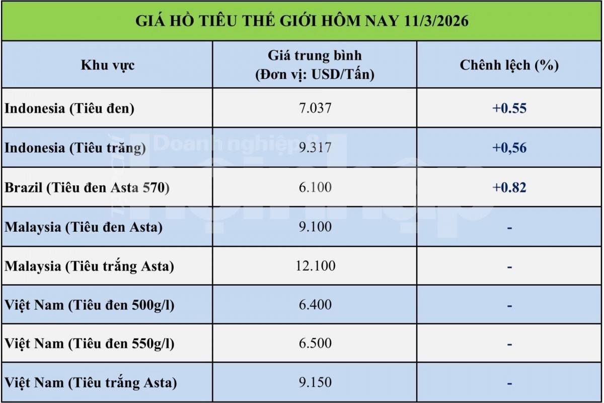 Giá tiêu hôm nay 11/3/2026: