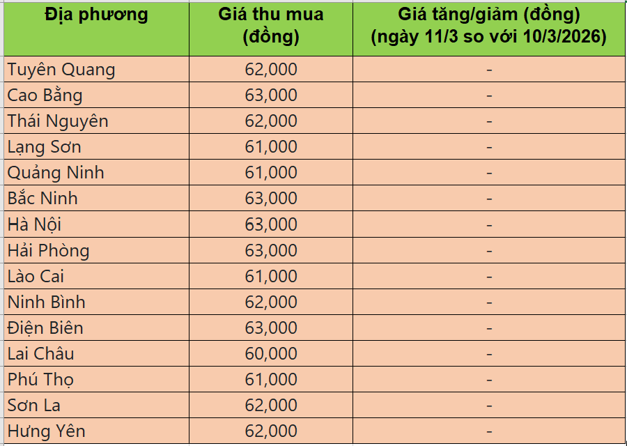 Bảng giá heo hơi tại miền Bắc hôm nay 11/3/2026
