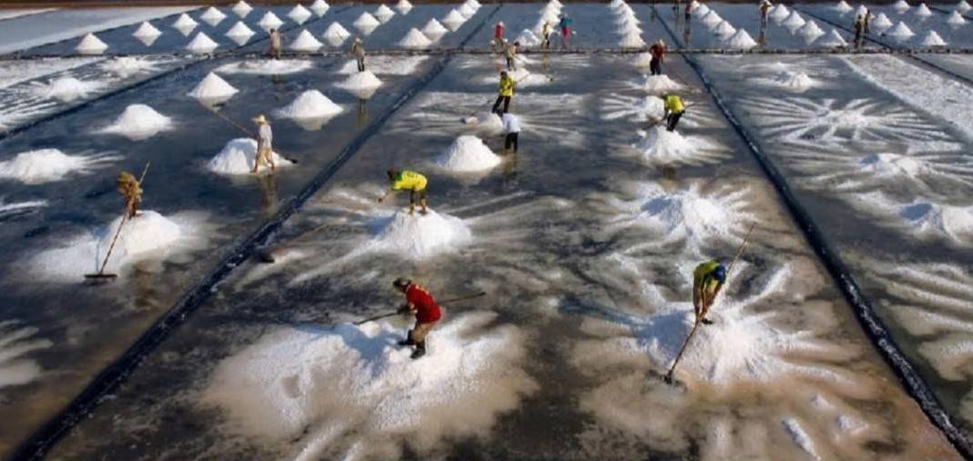 Cánh đồng muối và giấc mơ du lịch ven biển