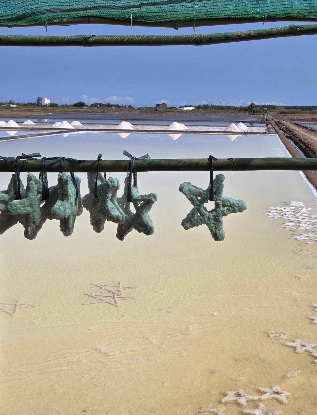 Cánh đồng muối và giấc mơ du lịch ven biển