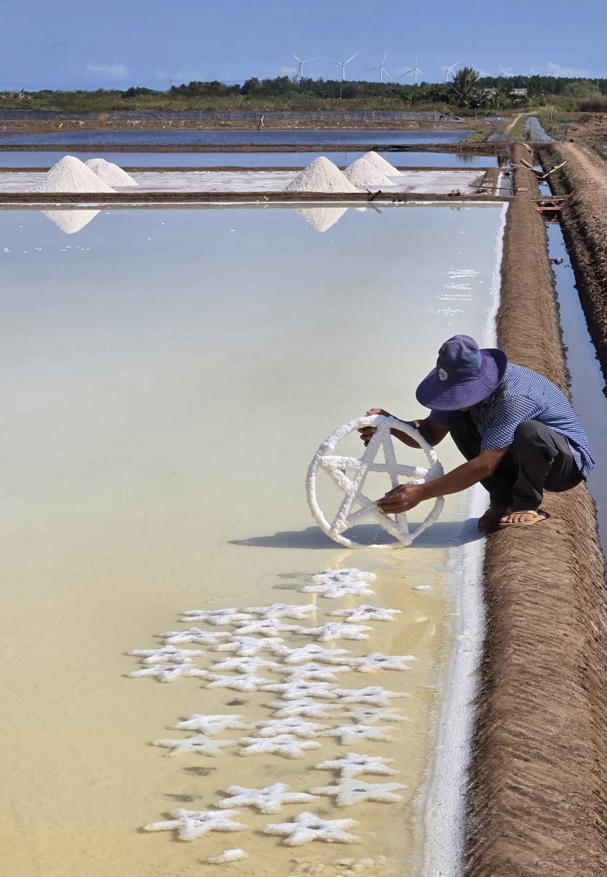 Cánh đồng muối và giấc mơ du lịch ven biển