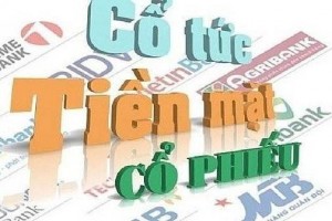 Mùa đại hội cổ đông ngân hàng 2026: Lợi nhuận tăng tốc, nhân sự và M&A trở thành vấn đề tâm điểm