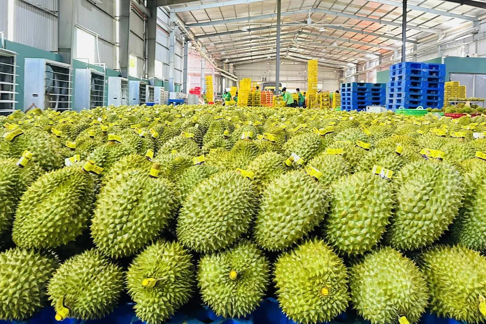 Xuất khẩu nông sản có thể giảm 1 tỷ USD nếu xung đột Trung Đông kéo dài