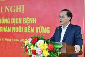 Xung đột Trung Đông đẩy giá thức ăn chăn nuôi tăng mạnh