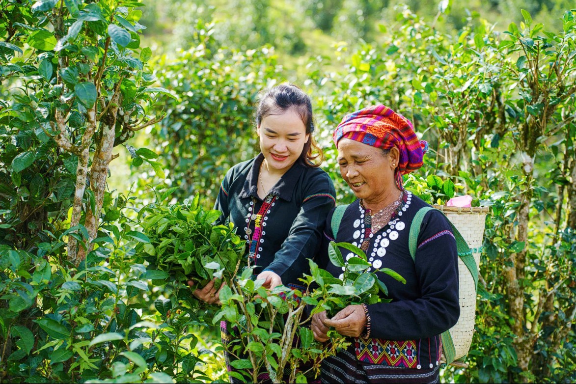 Quảng Trị: Chú trọng phát triển kinh tế - xã hội, hình thành chuỗi nông sản sạch