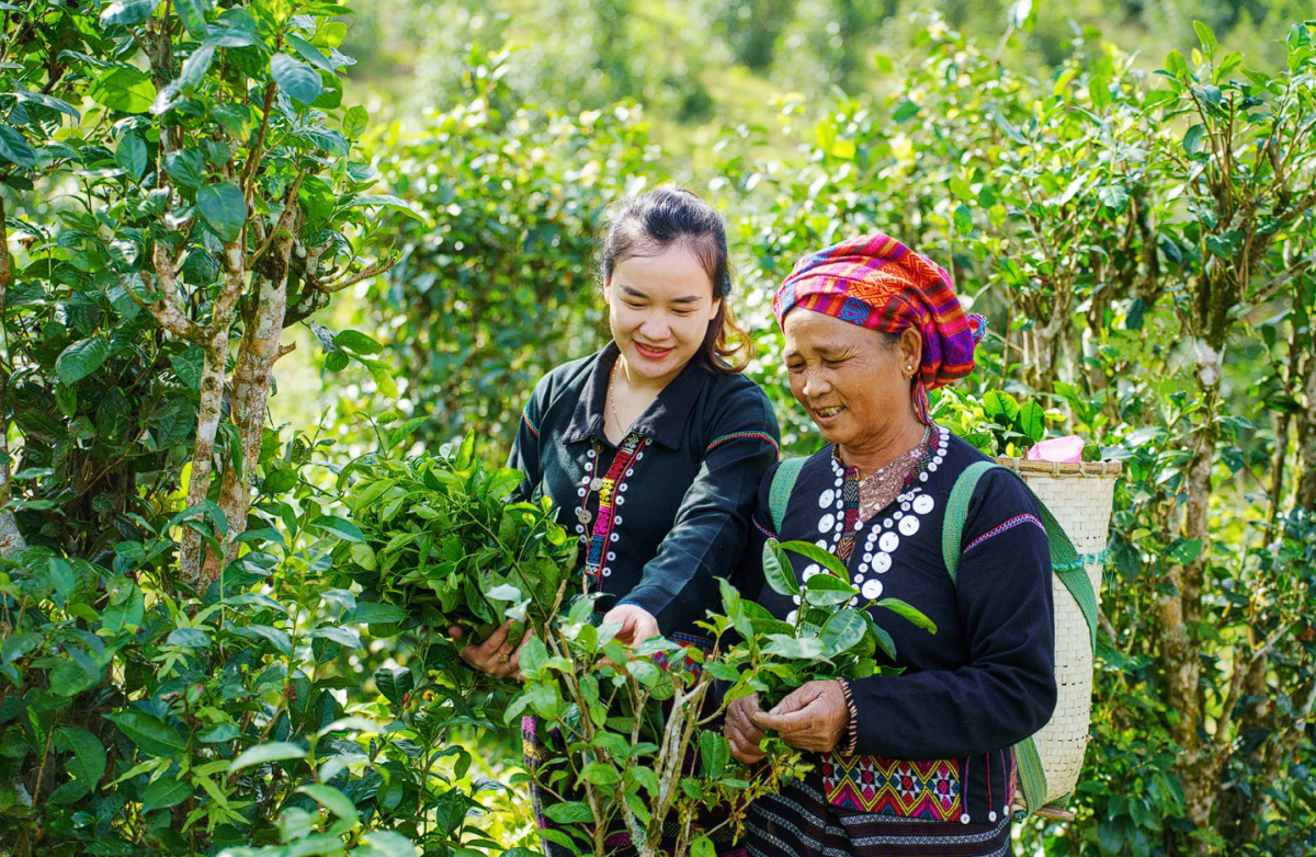 Quảng Trị: Chú trọng phát triển kinh tế - xã hội, hình thành chuỗi nông sản sạch