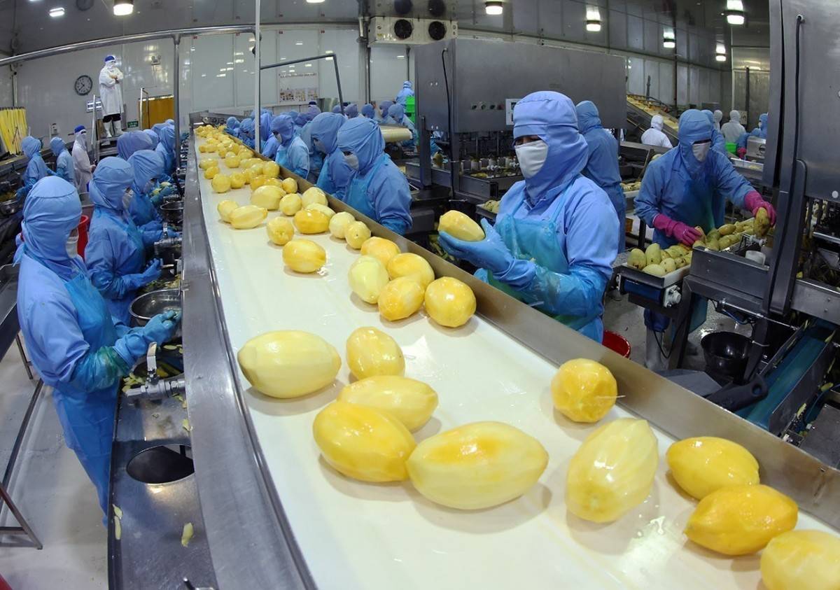 Xung đột Trung Đông: Chưa ghi nhận thiệt hại đối với hàng xuất khẩu Việt Nam sang Israel