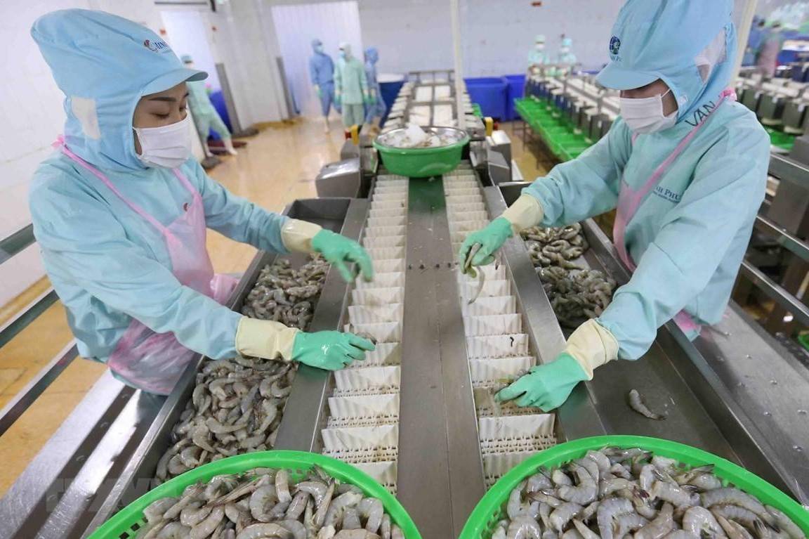 Hoa Kỳ siết kiểm soát thủy sản nhập khẩu: Doanh nghiệp Việt cần chủ động phòng rủi ro