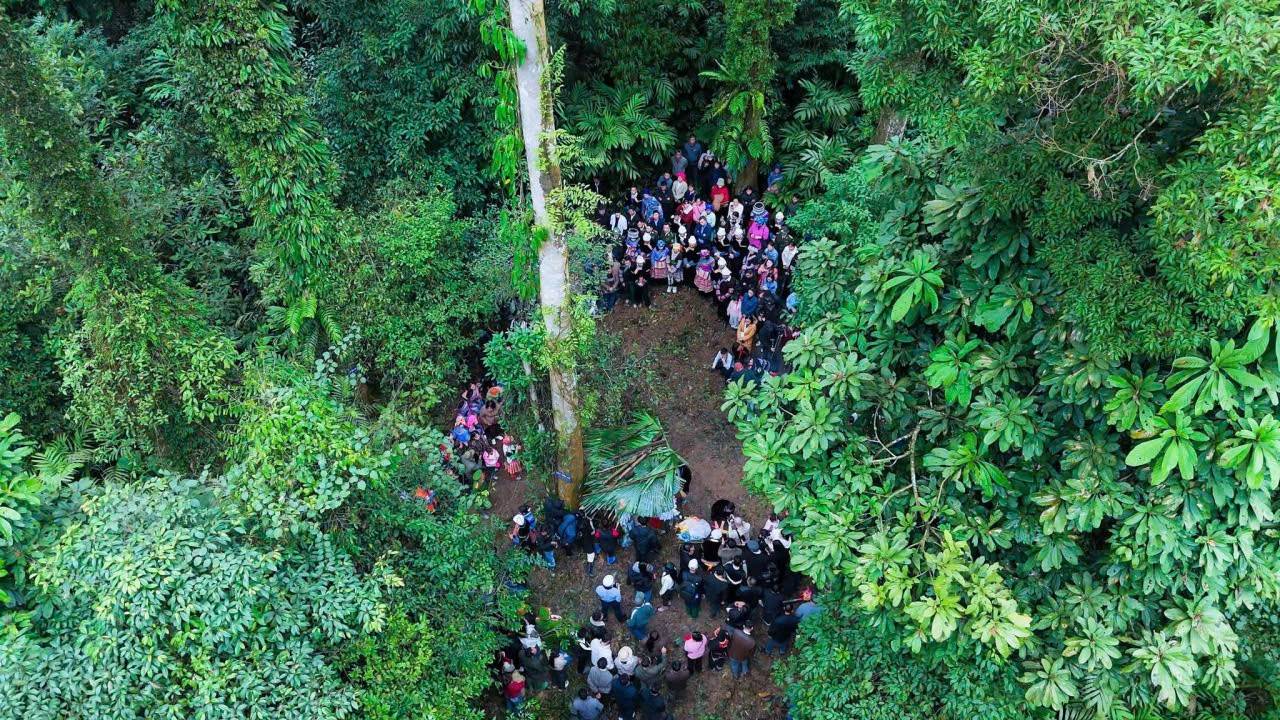 Tết rừng Nà Hẩu (Tân Hợp, Lào Cai) 2026: Lễ hội văn hóa đặc sắc thu hút du khách