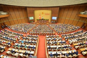 Kinh nghiệm nghị trường: Không chỉ phát biểu mà phải theo đuổi đến cùng