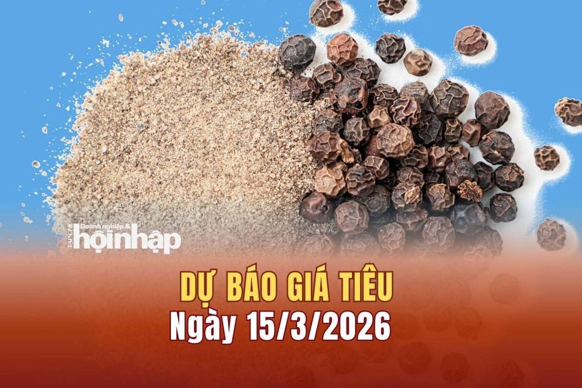Dự báo giá tiêu 15/3: Giá tiêu trong nước và thế giới có xu hướng giảm