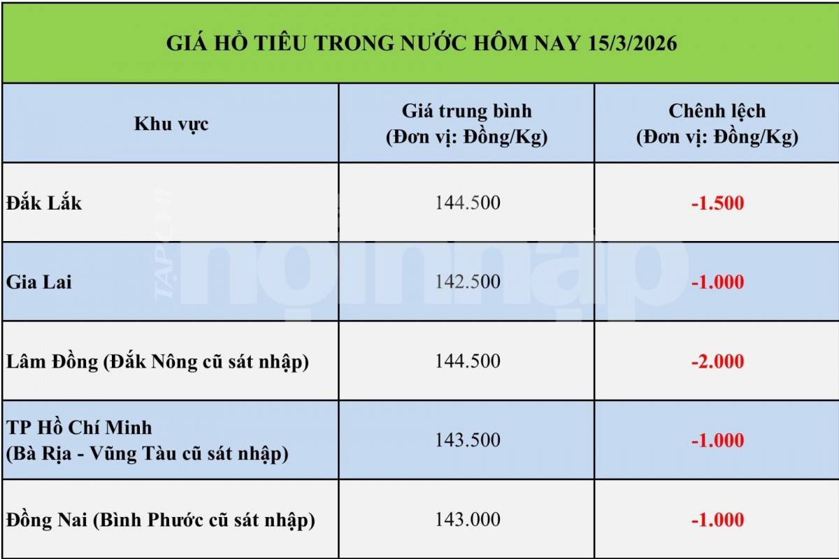 Giá tiêu hôm nay 14/3/2026: Nội địa tăng mạnh lên 146.500 đồng/kg